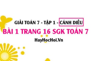 Giải bài 1 trang 16 Toán 7 Tập 1 SGK Cánh Diều
